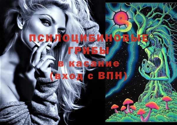прущий лед Лиски
