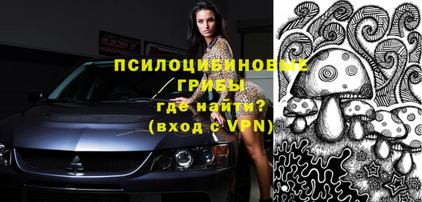 прущий лед Лиски