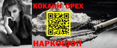 молекула духа Камышлов