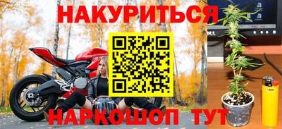 молекула духа Камышлов