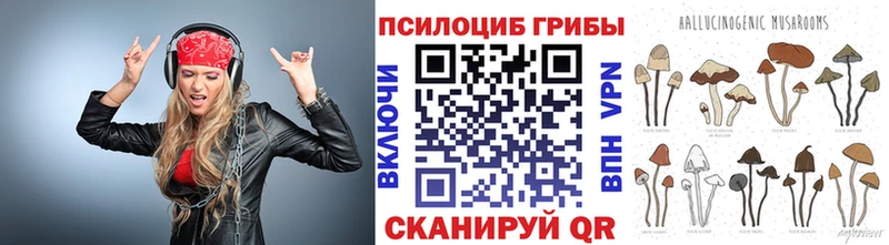 Псилоцибиновые грибы GOLDEN TEACHER  кракен зеркало  Миллерово 