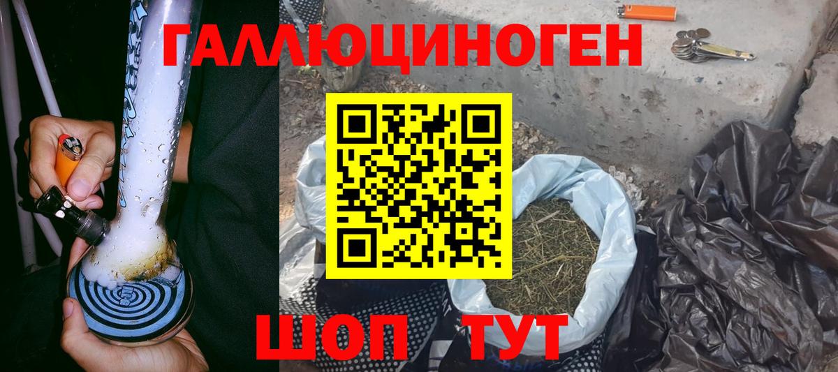 Псилоцибиновые грибы Psilocybine cubensis Миллерово